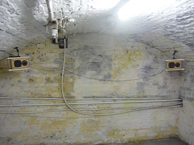 Twelve Ttwweellvvee Tttwwweeelllvvveee thumbnail