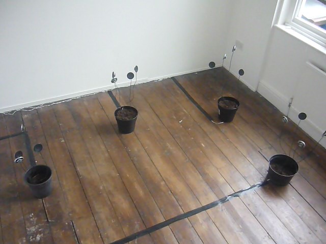 Speaker Plants thumbnail